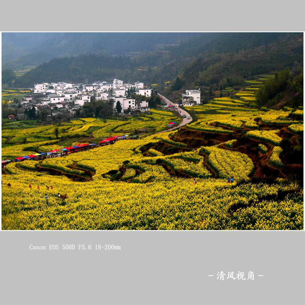 婺源江岭_3158