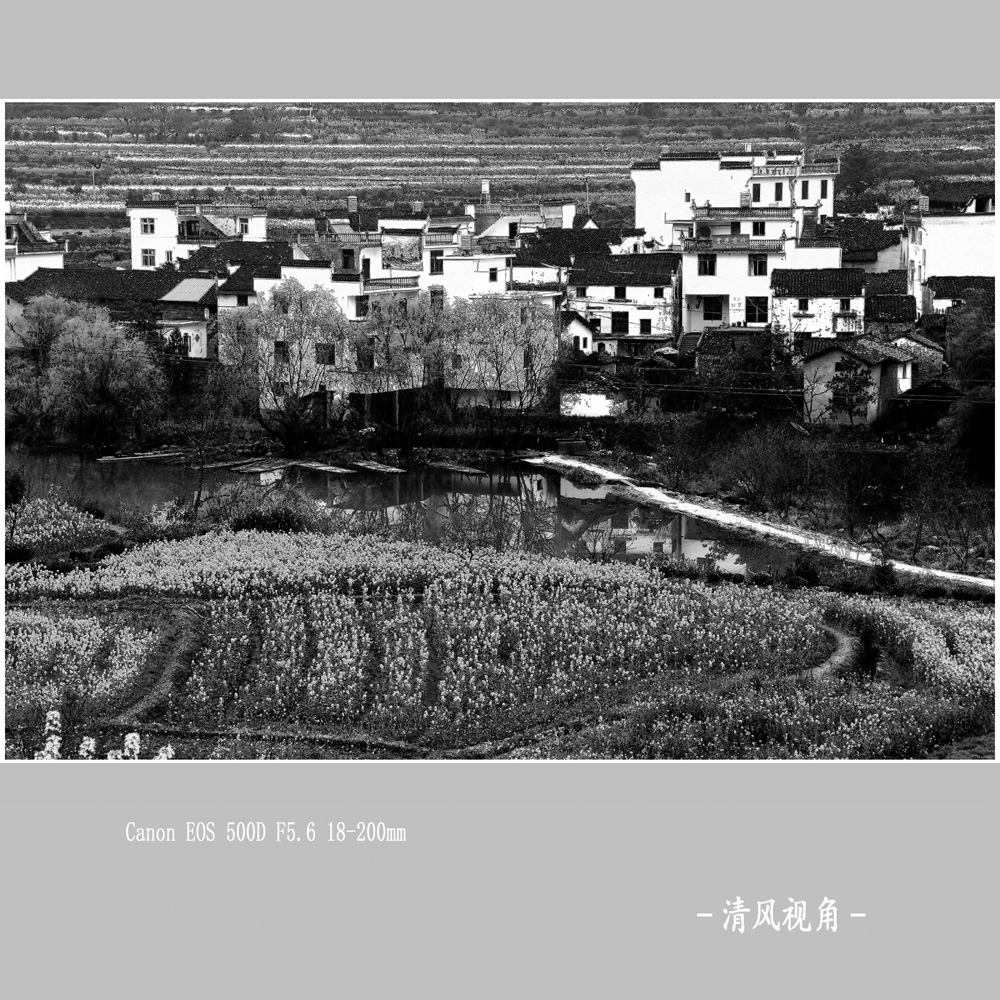 婺源江岭_3163