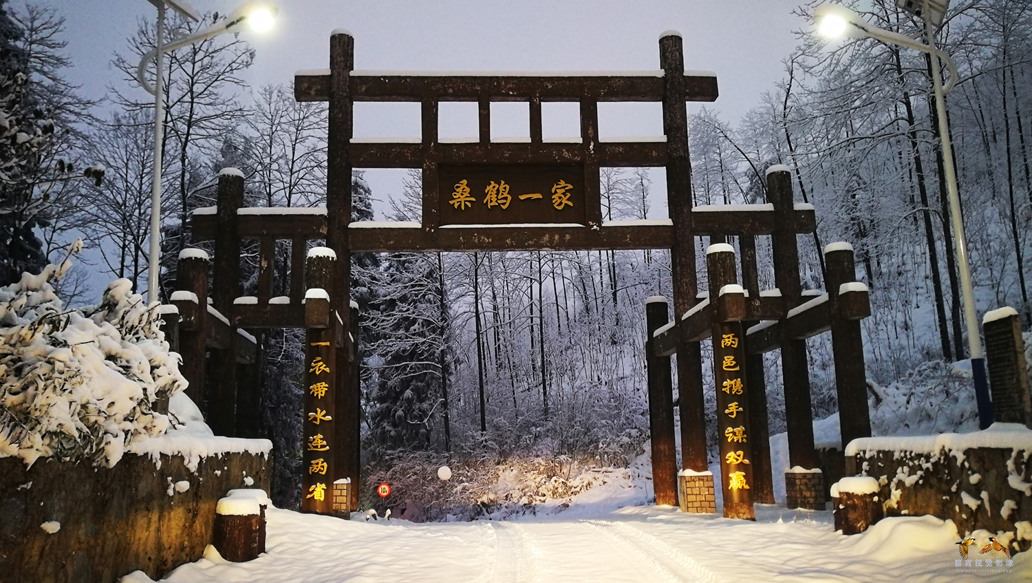 桑鹤一家