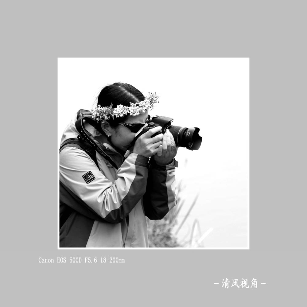 无题