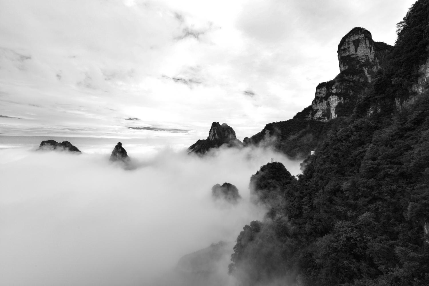 《伄尊传经》
