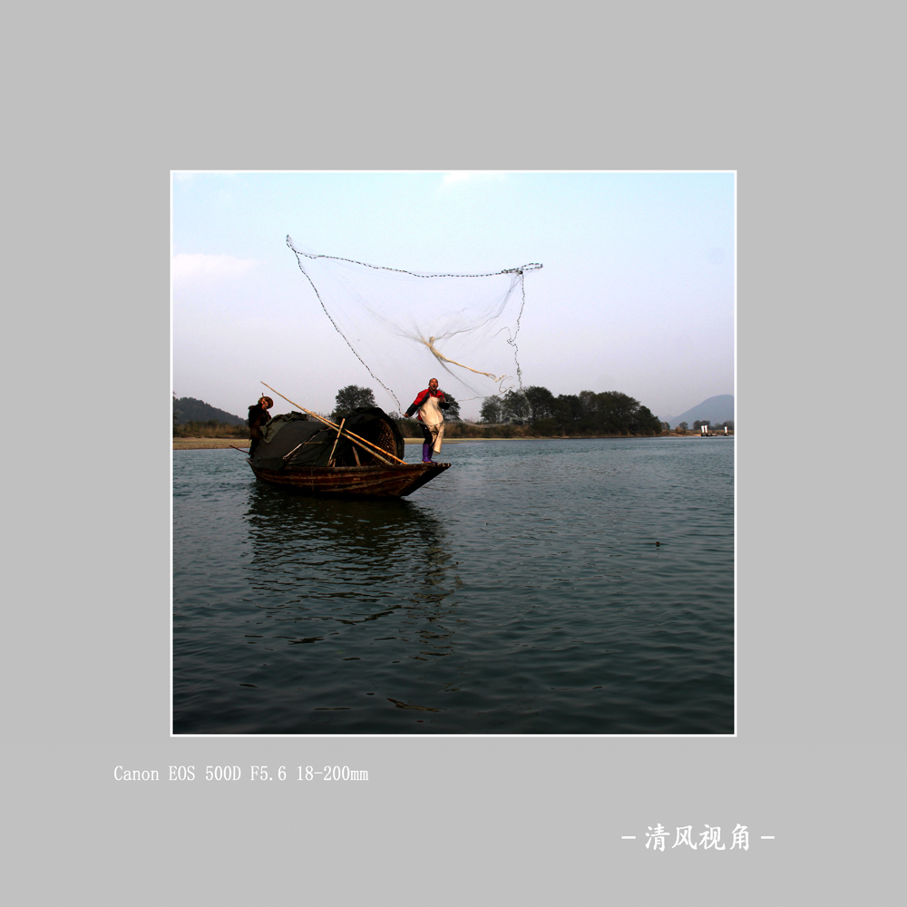 撒网_6063