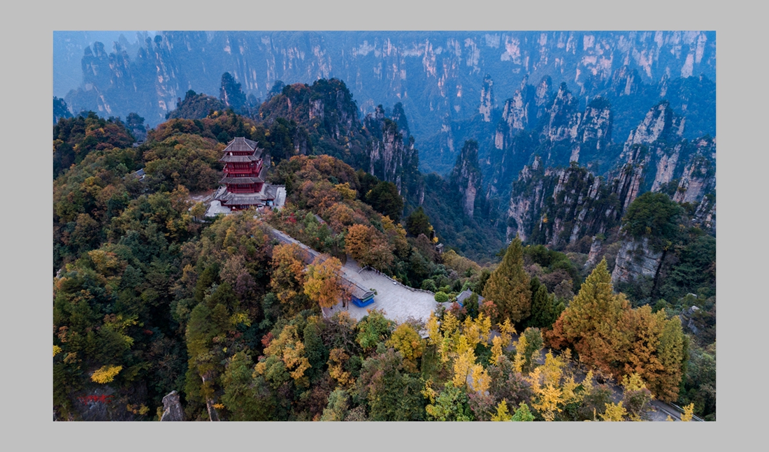 天子山秋色