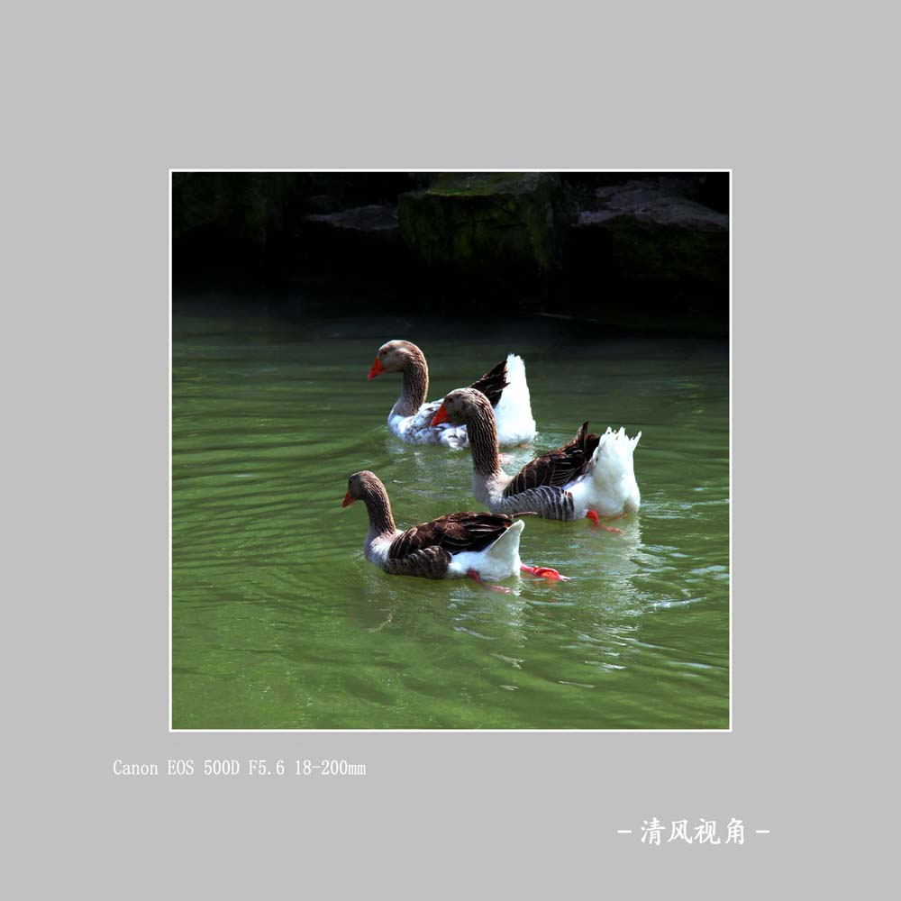 无题_5285