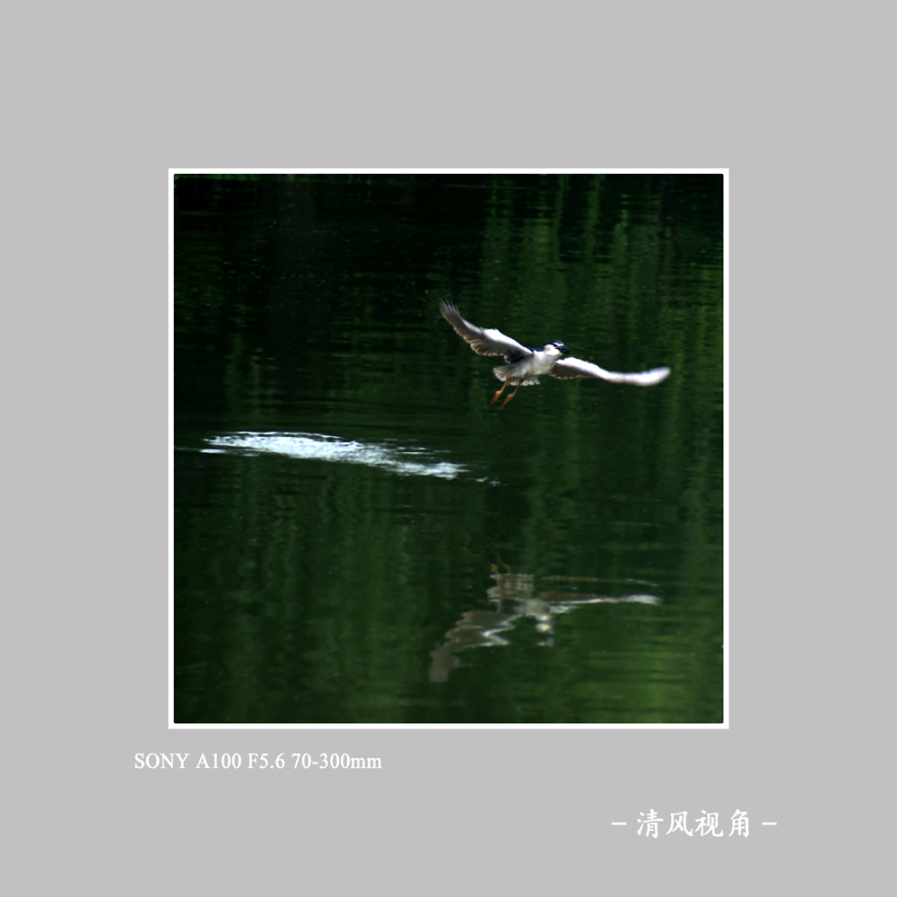 无题_5006