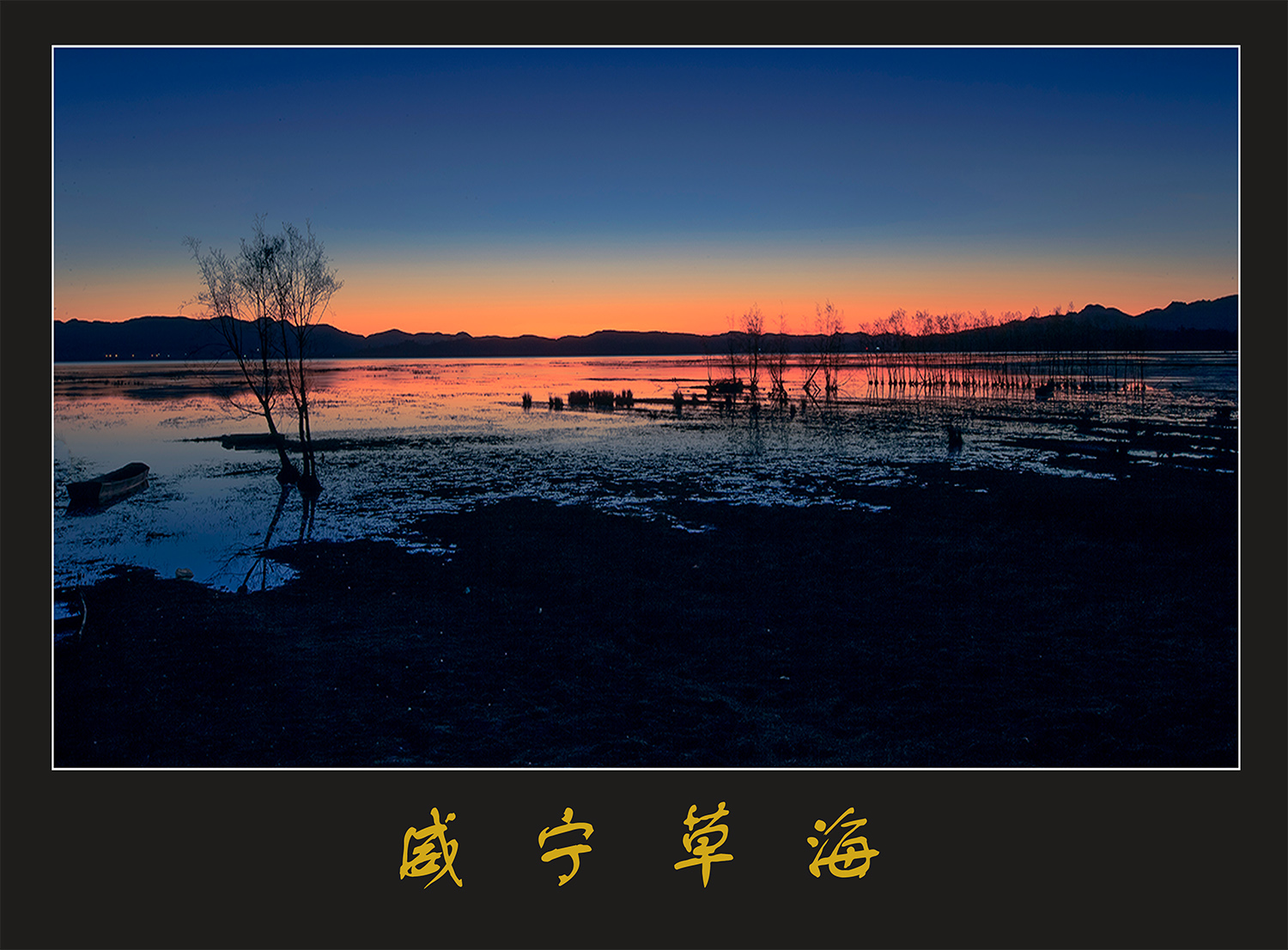 草  海