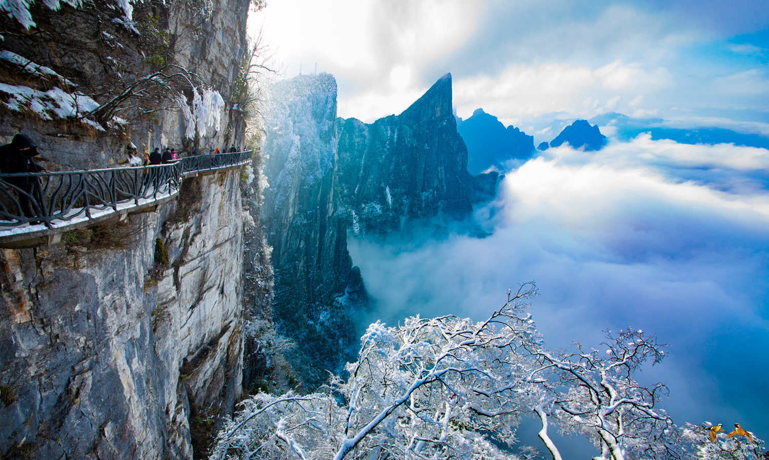 风景独好