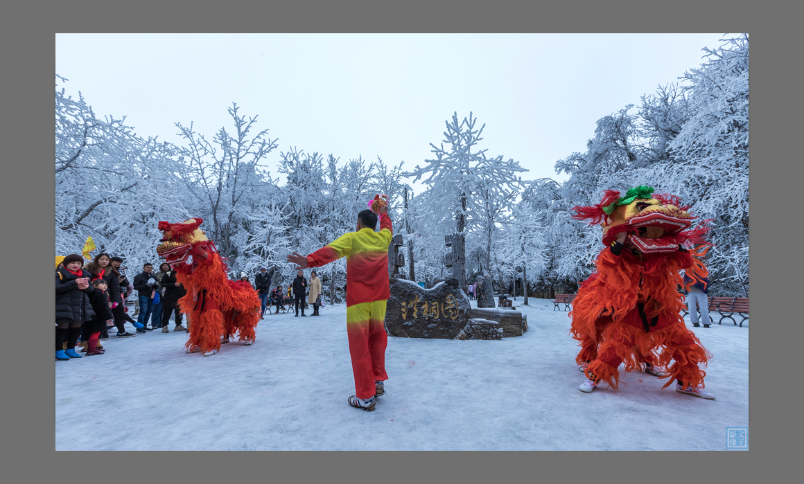 雪中舞狮闹元宵