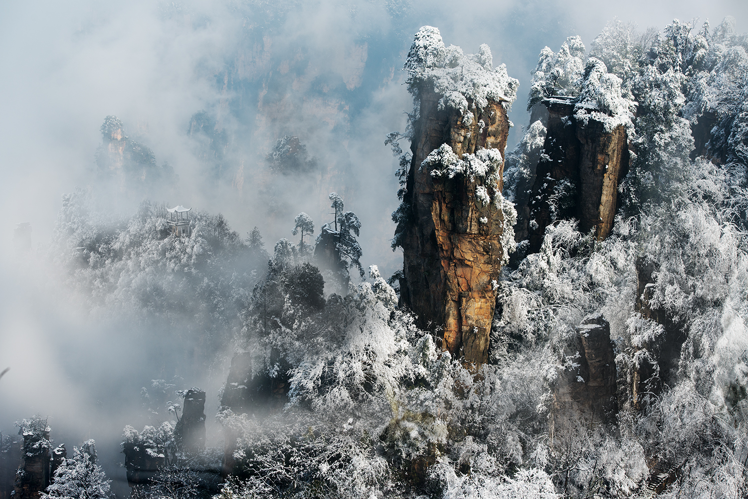 天子山的雪