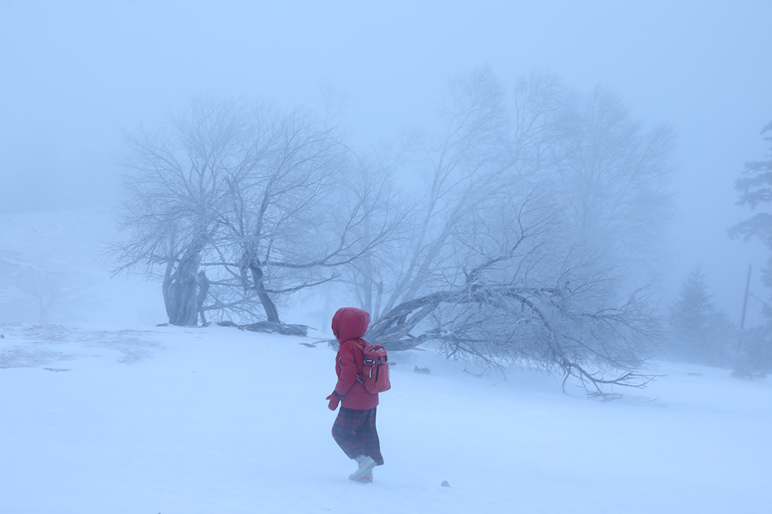 风雪