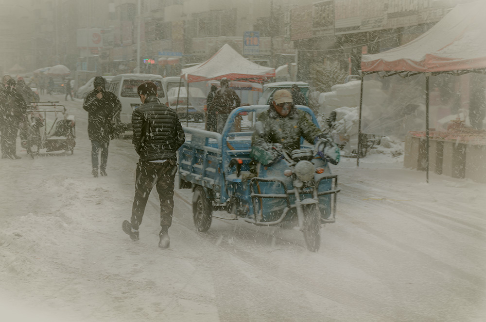 雪中行