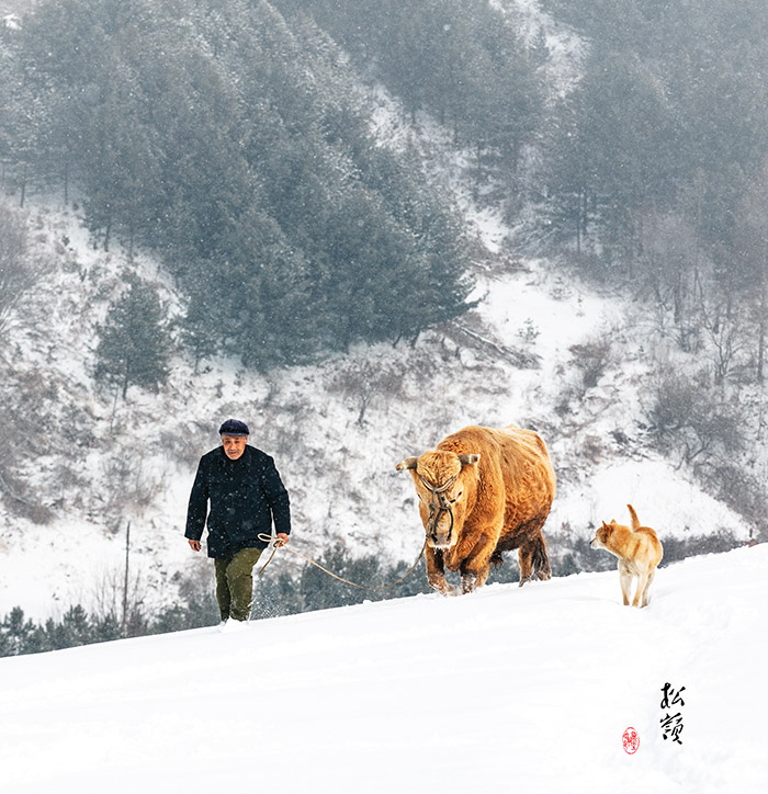 山里人