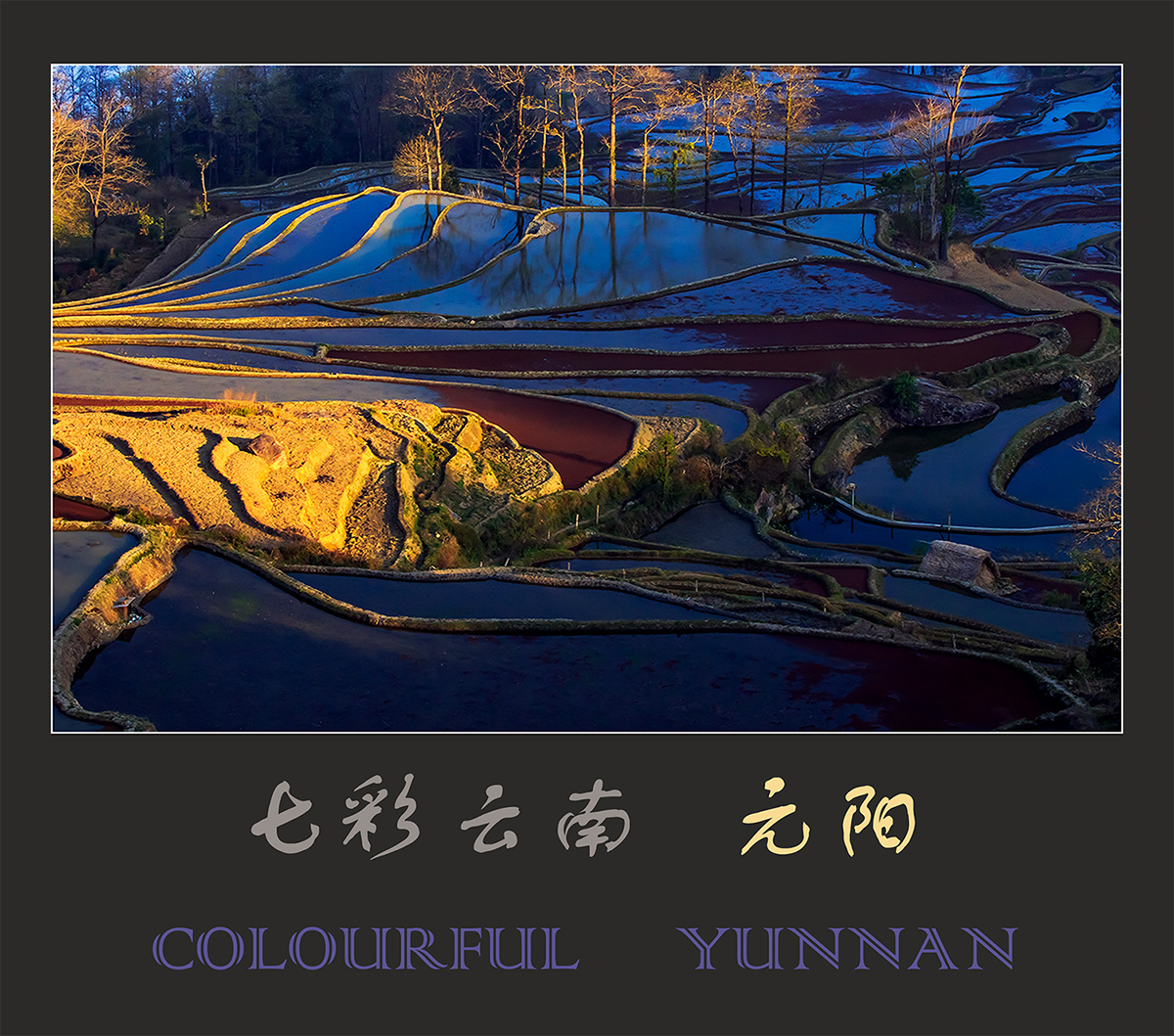 元  阳