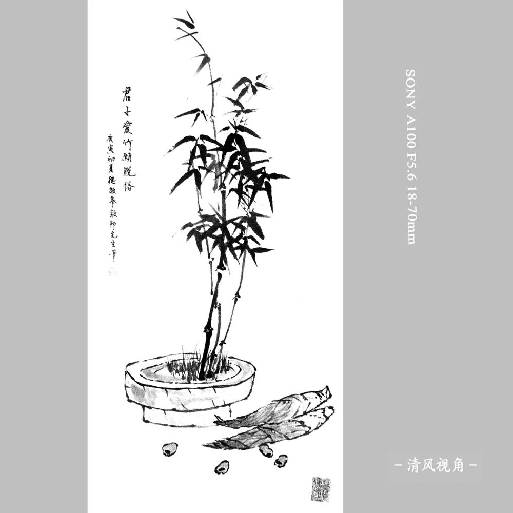 影画_1257