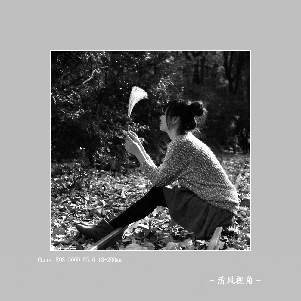 无题_0031
