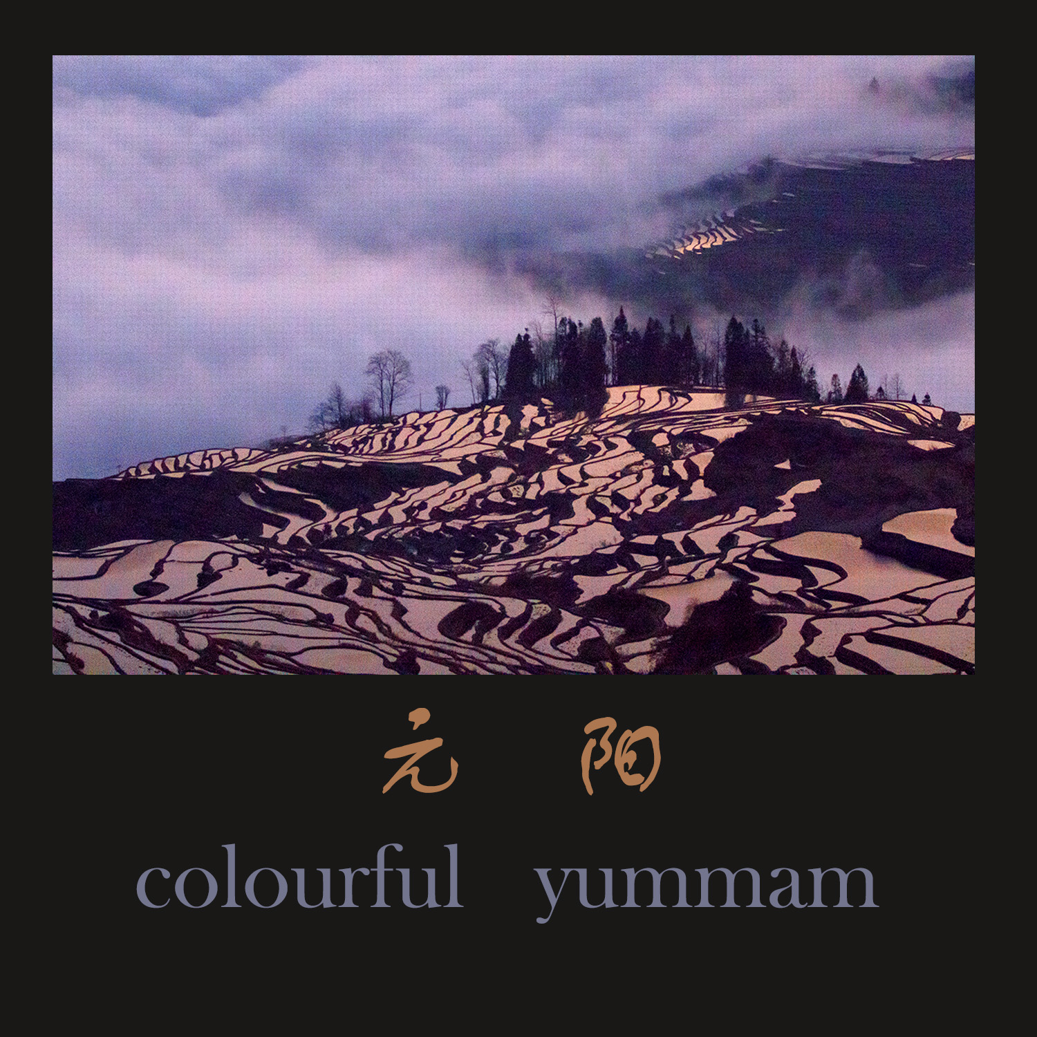 元   阳