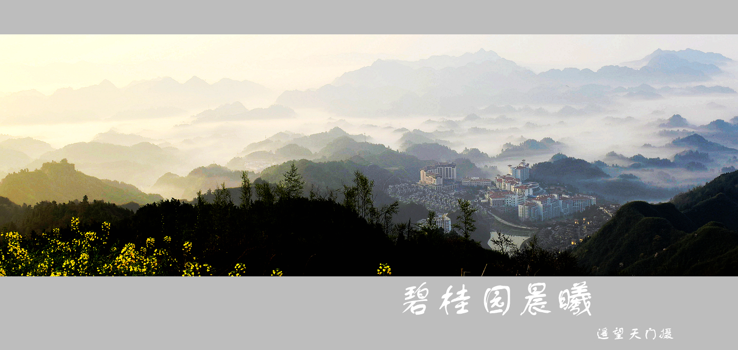 碧桂园晨曦