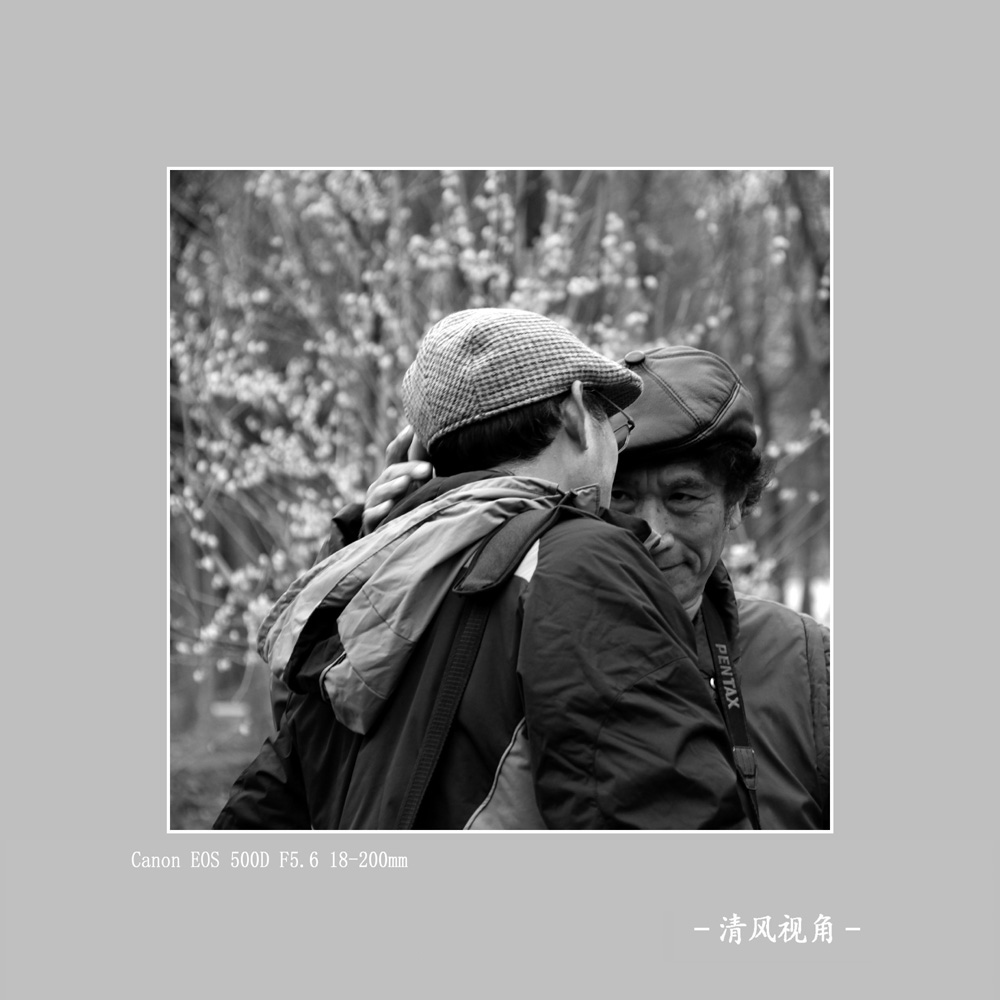 无题