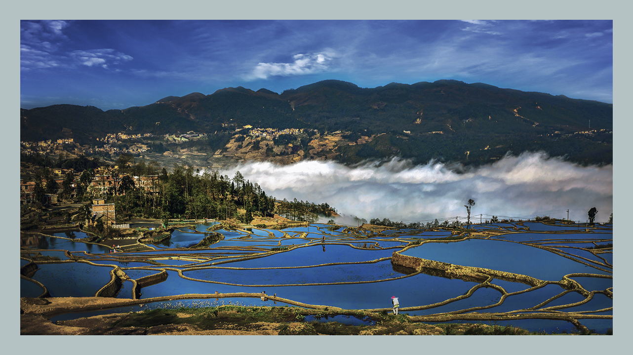 元阳梯田小景