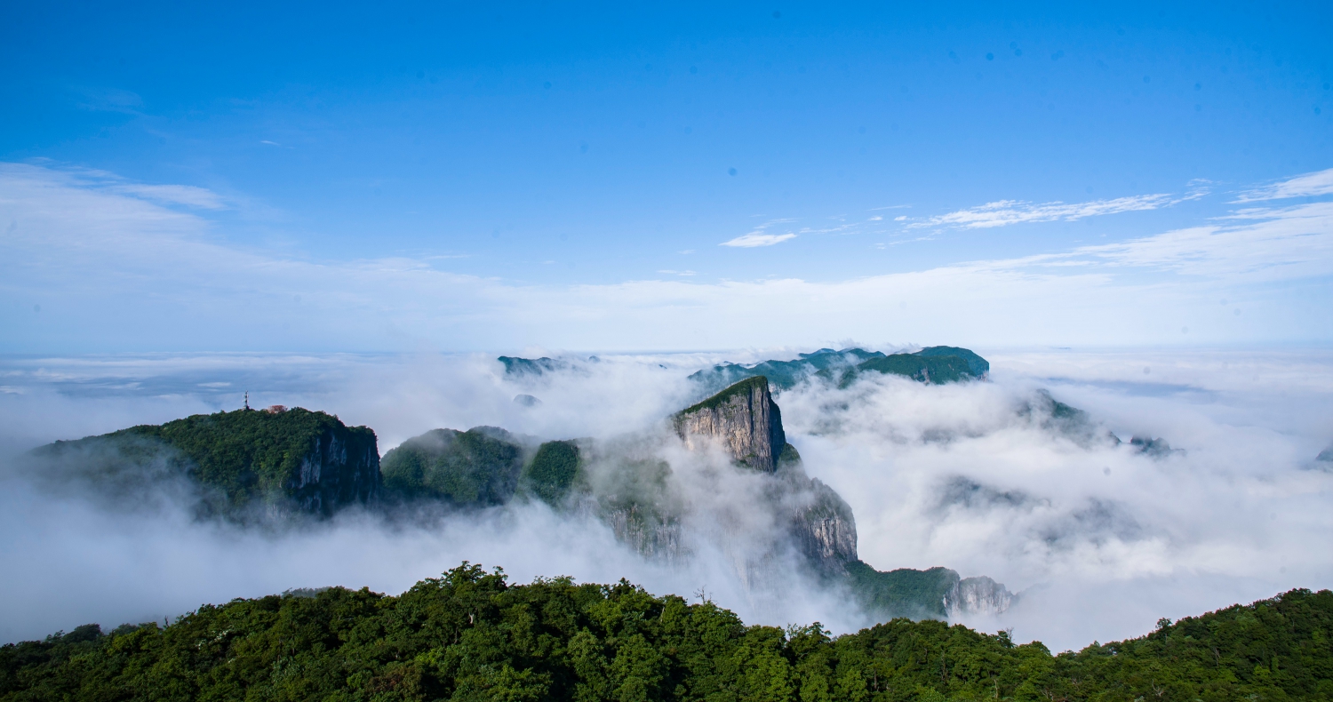 乘风破浪