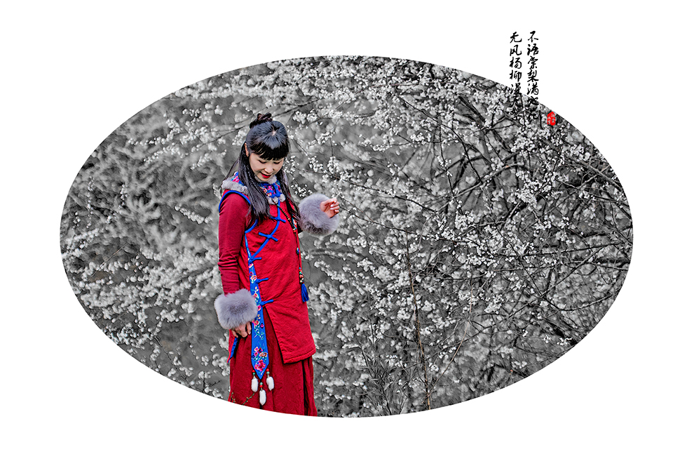 梨花又开放