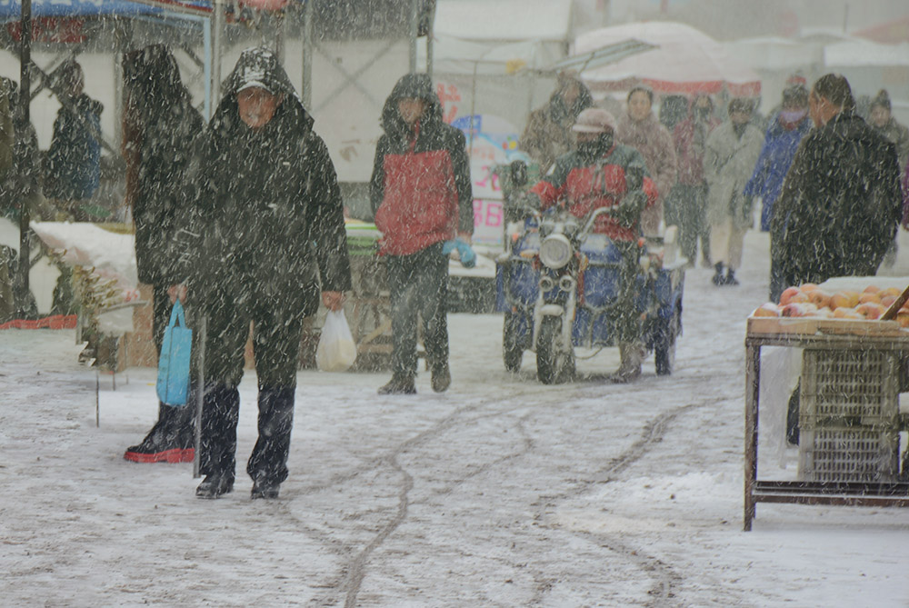 雪中行