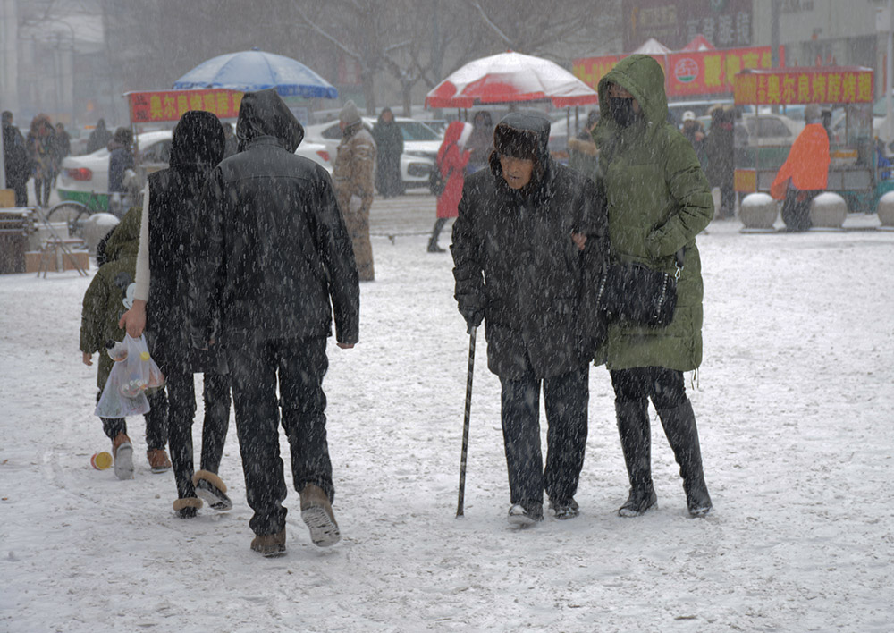 早春三月雪纷纷