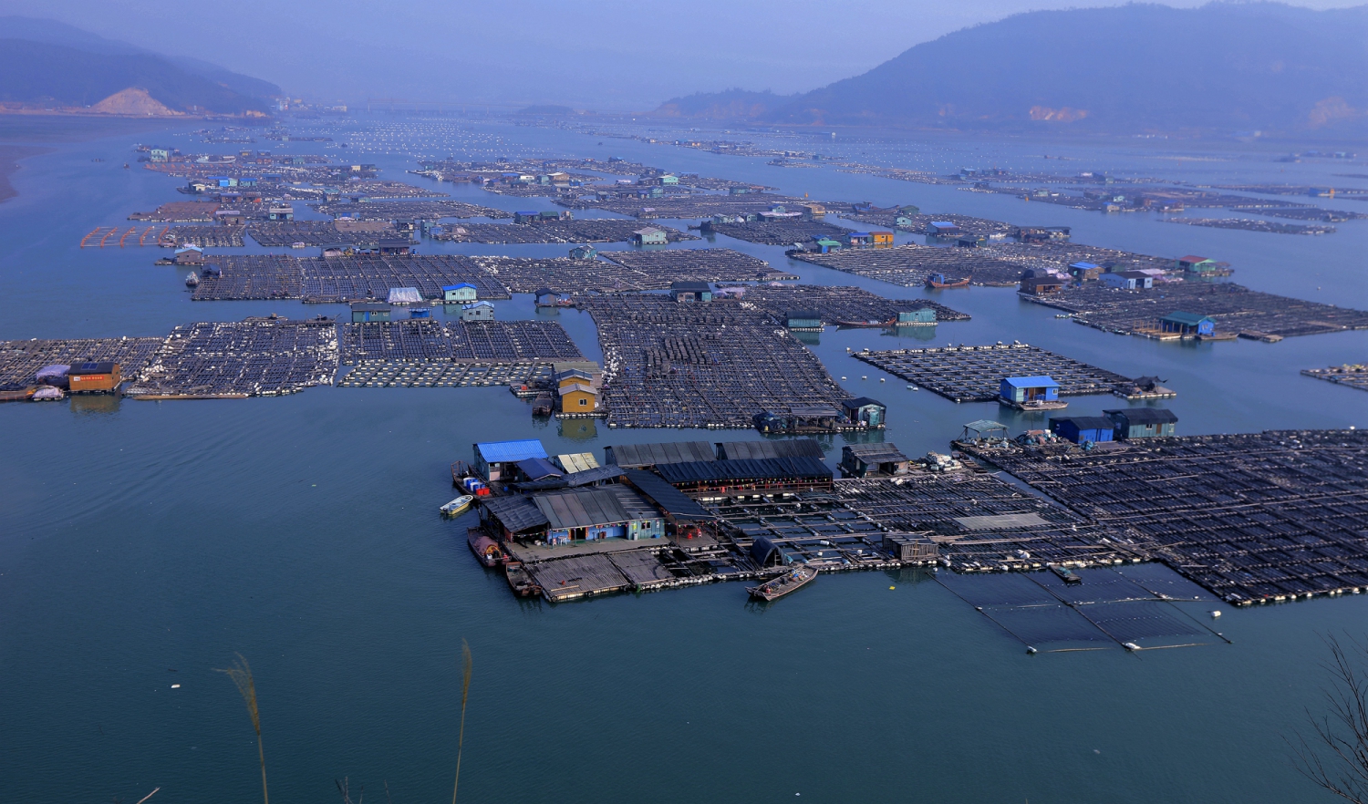 海上养殖基地