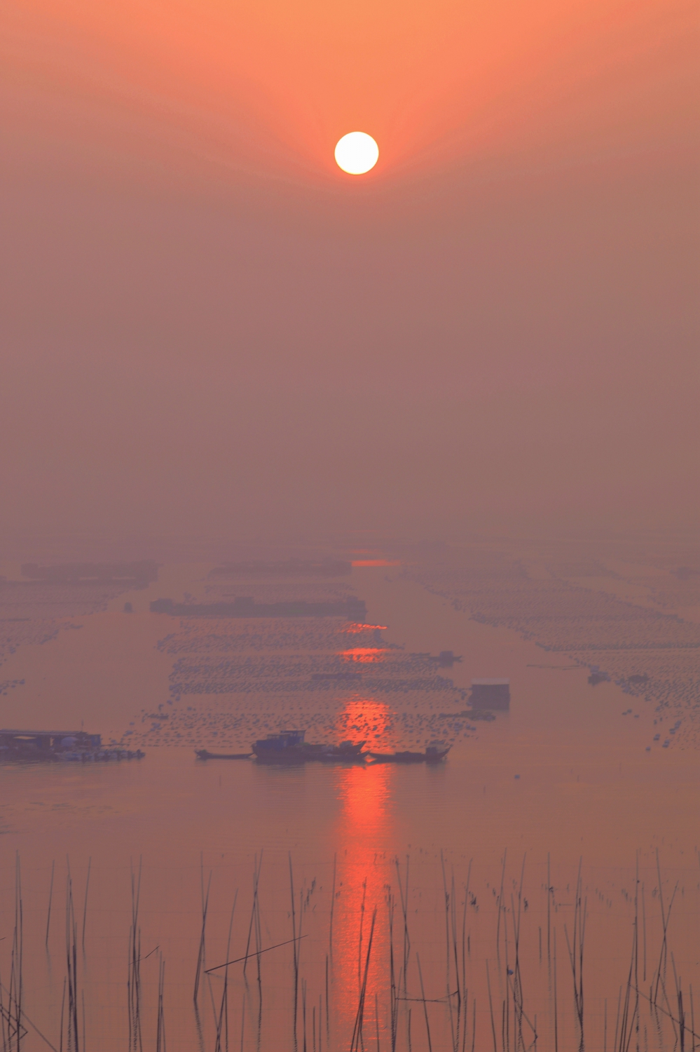 曰出