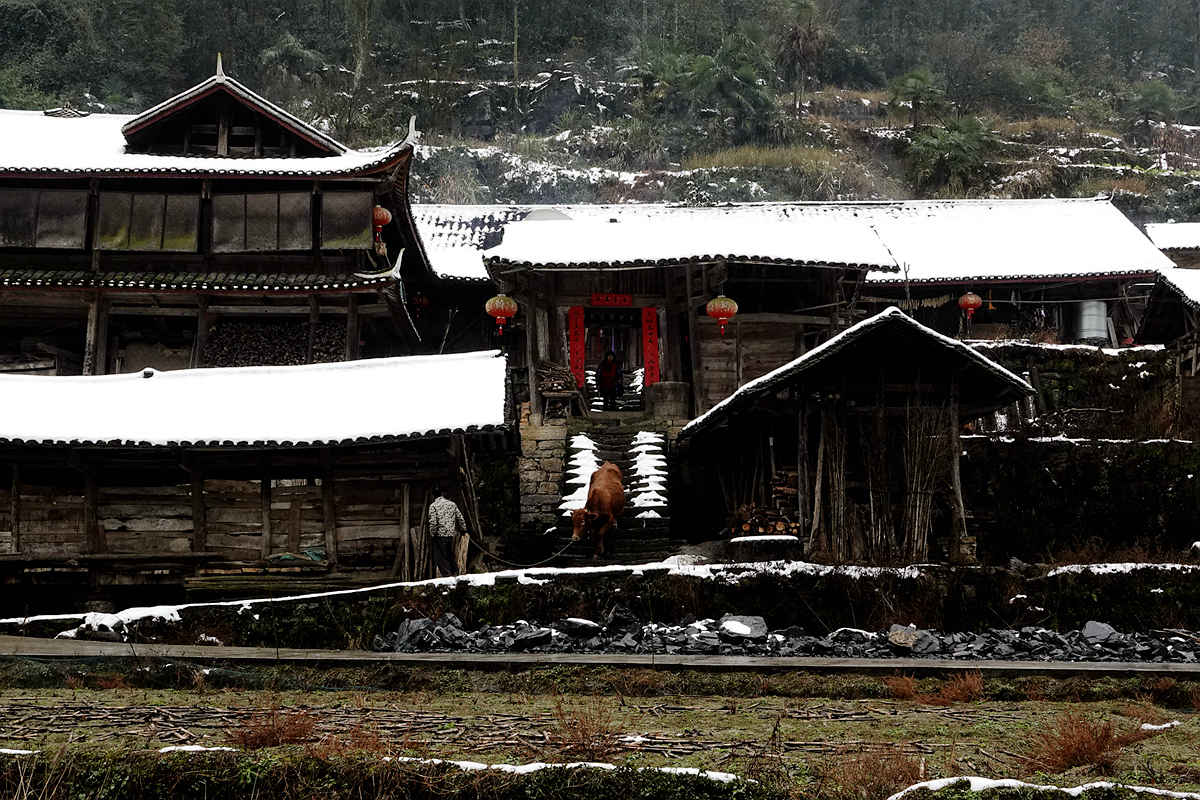 农 家