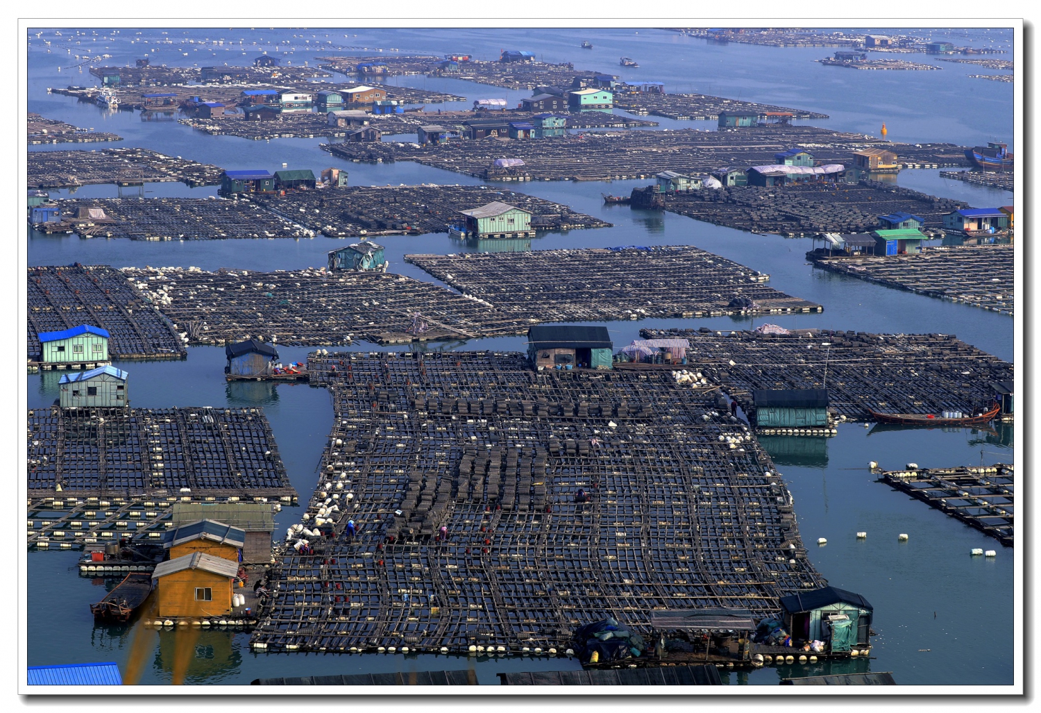 海上养殖基地