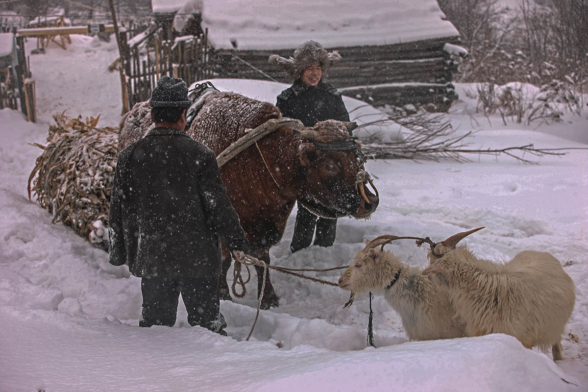 北方大雪