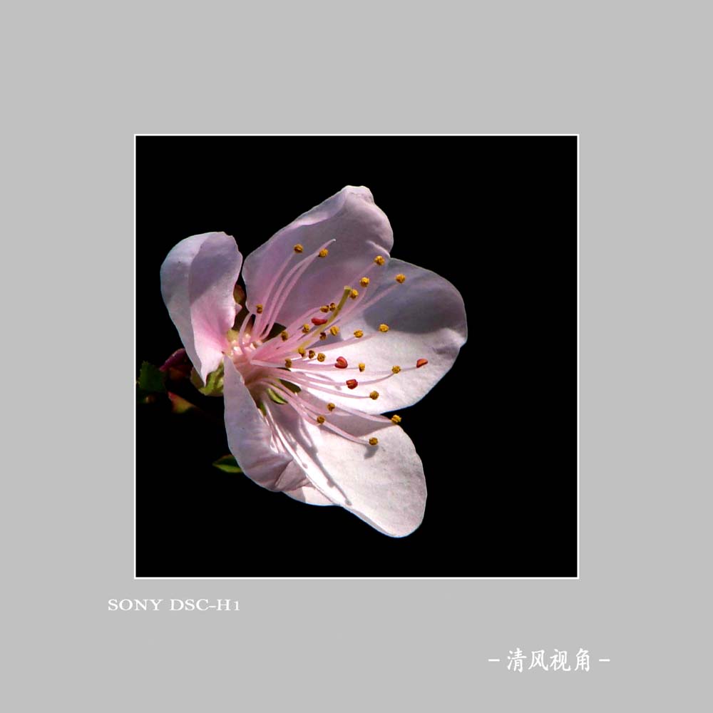 无题