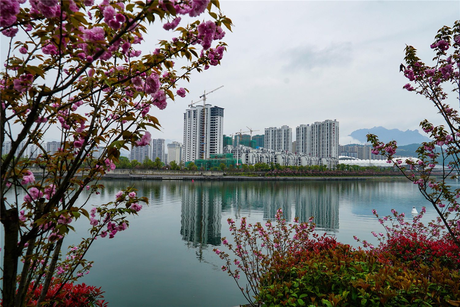 澧水风光组图