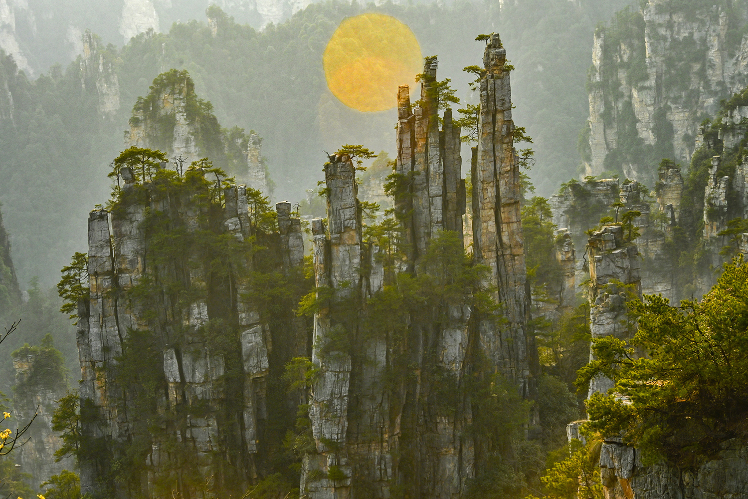 金盘御笔+陈仲德+13641270128