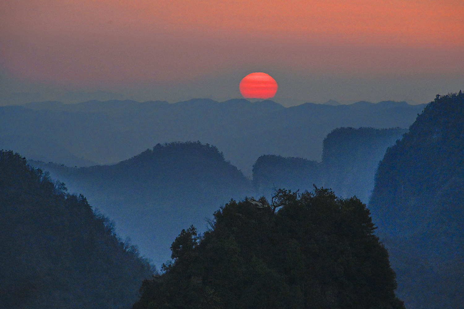 天子山上看日出+陈仲德+13641270128