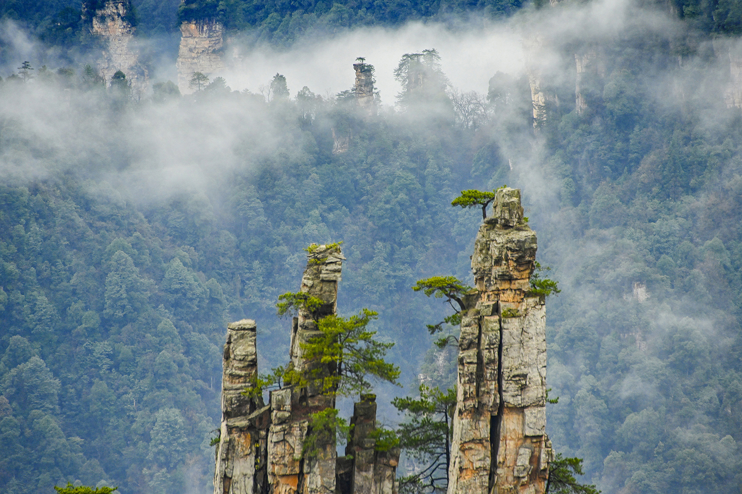 御笔峰+陈仲德+13641270128