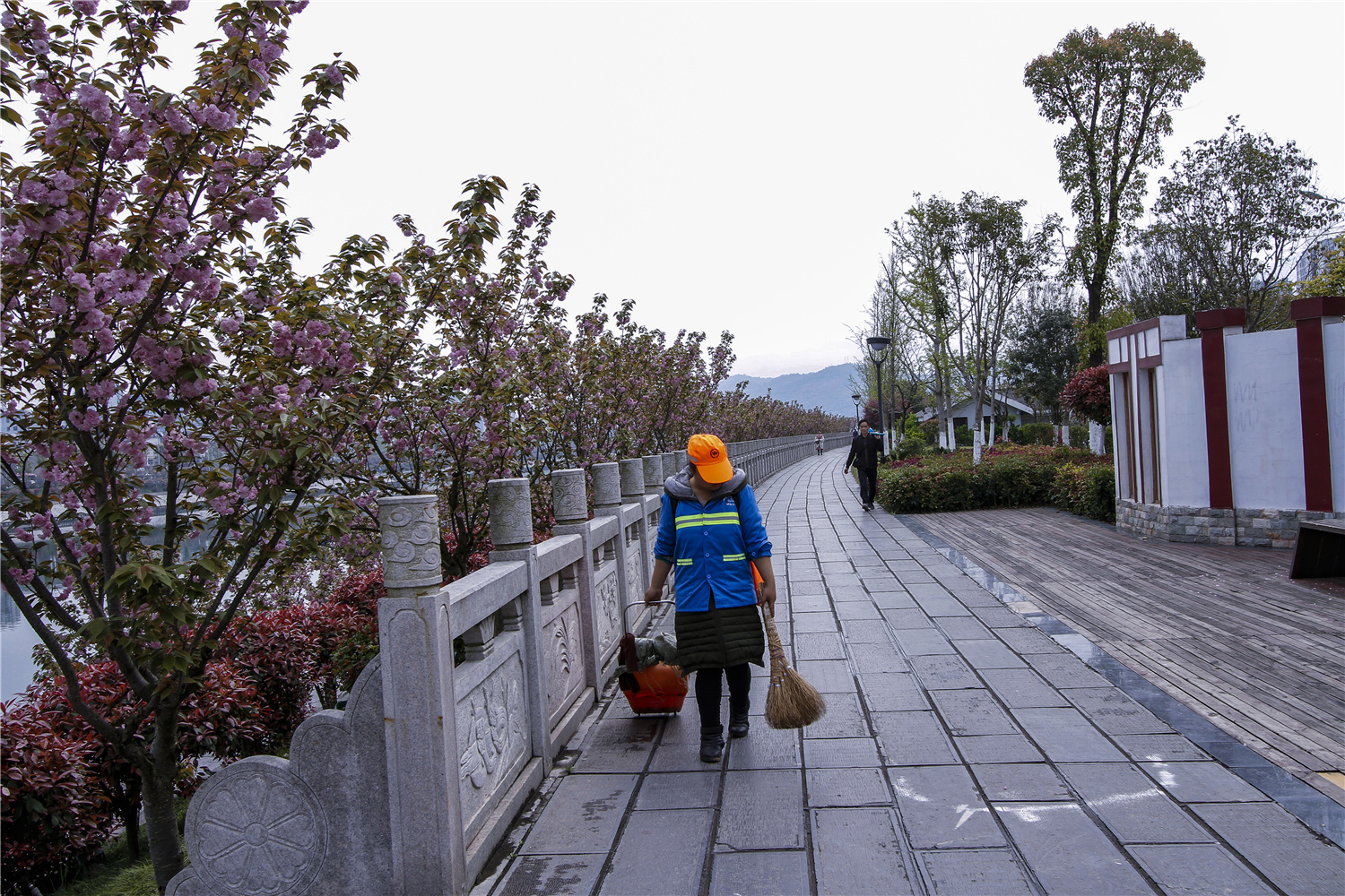 樱花大道上的美容师
