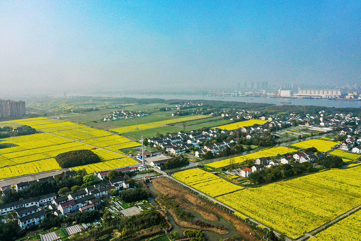美丽乡村