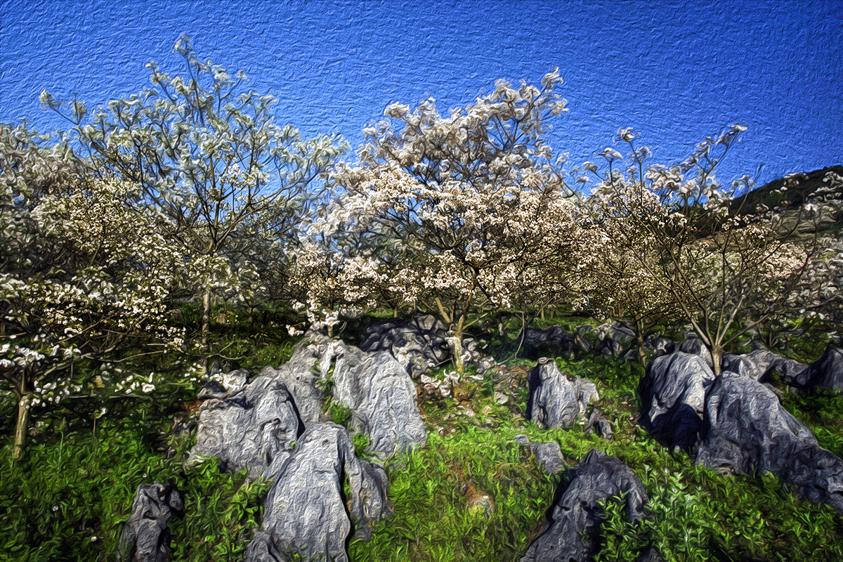 画意桐子花