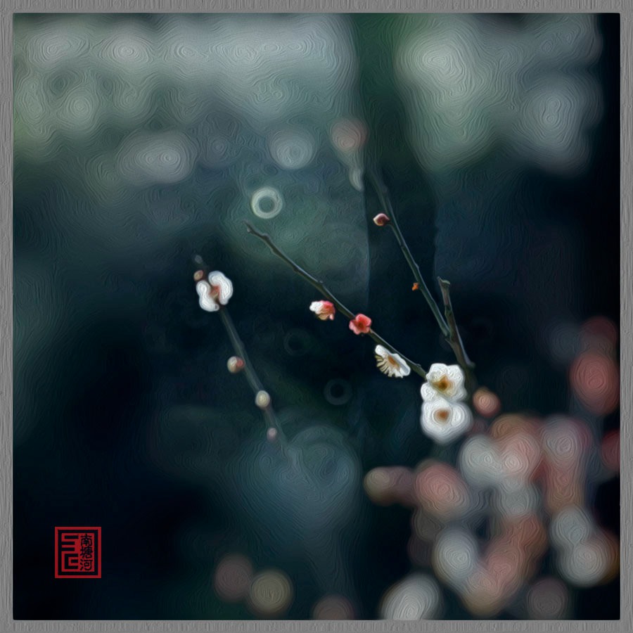 疏影横斜