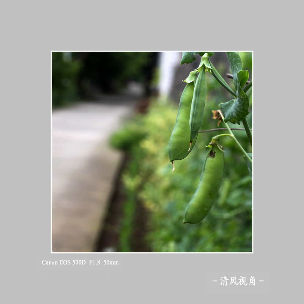 无题