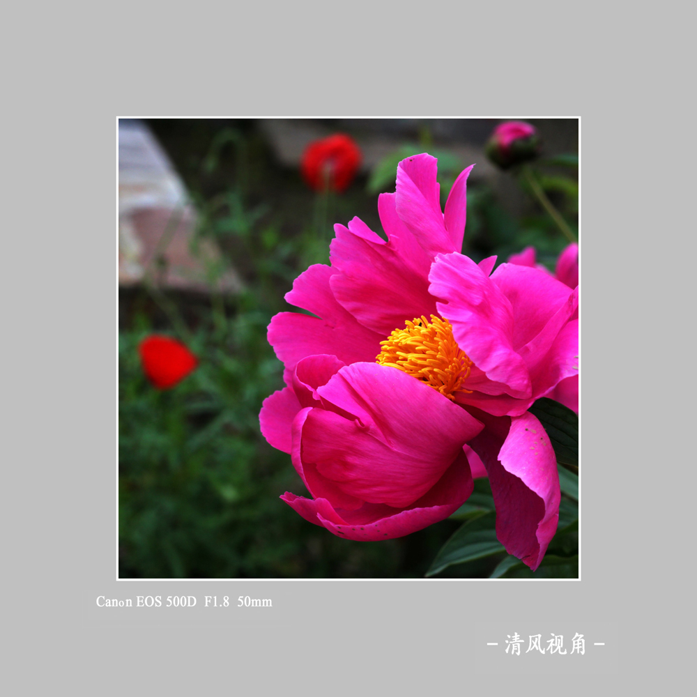无题