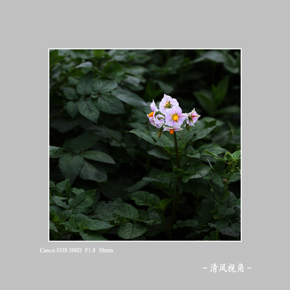 无题