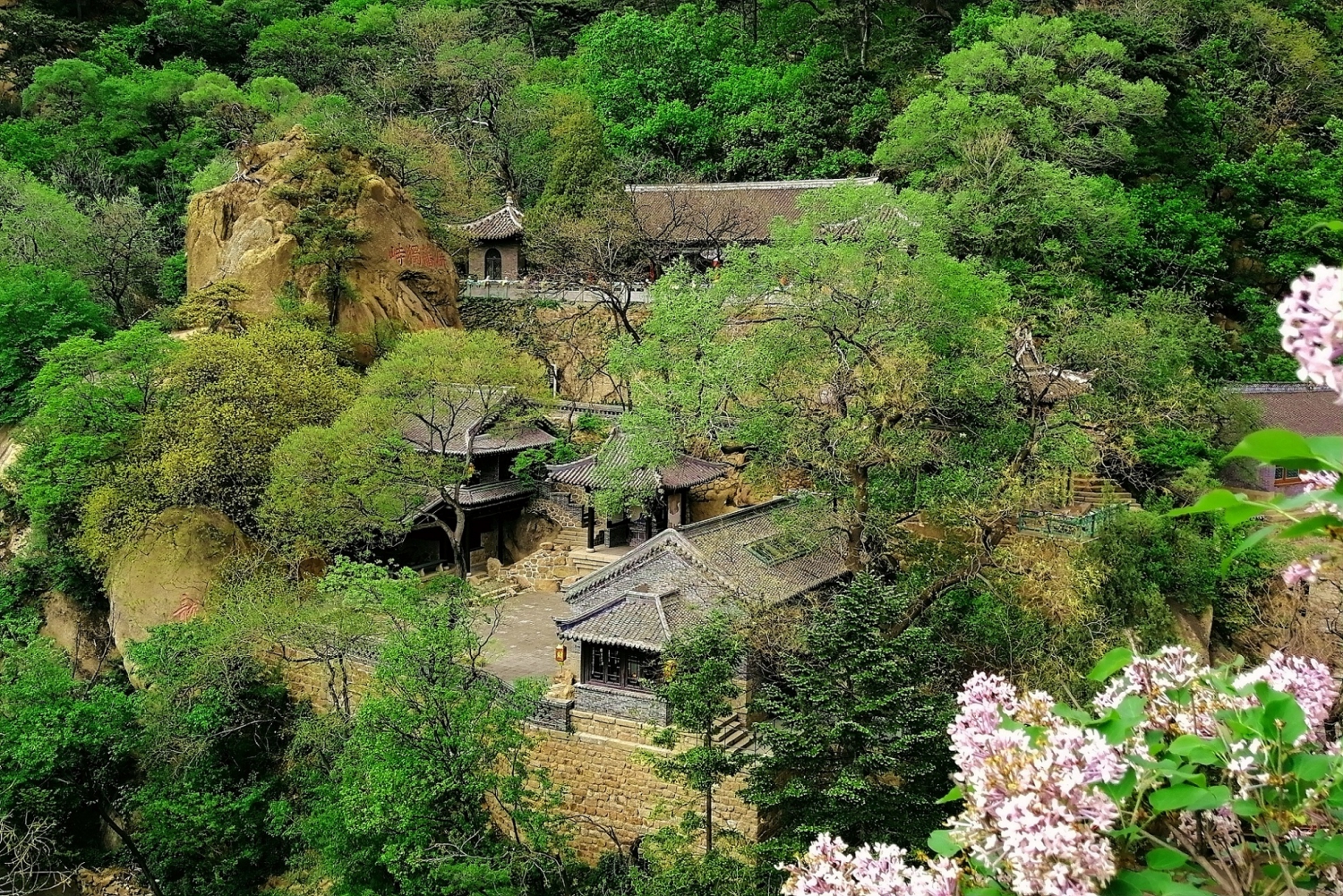 春满龙泉寺