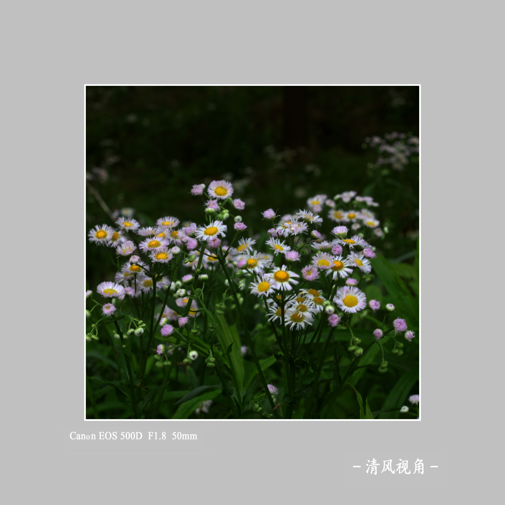 无题