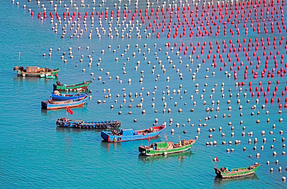 海上养殖