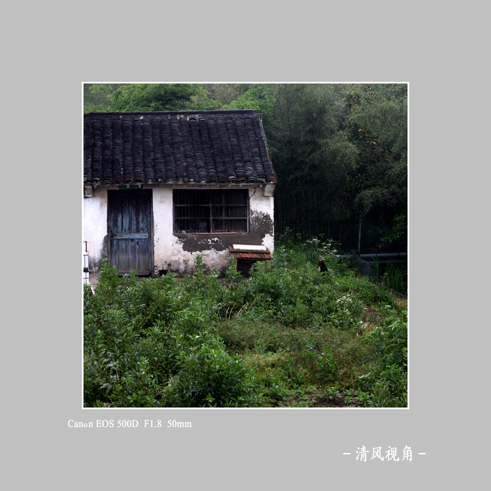 无题