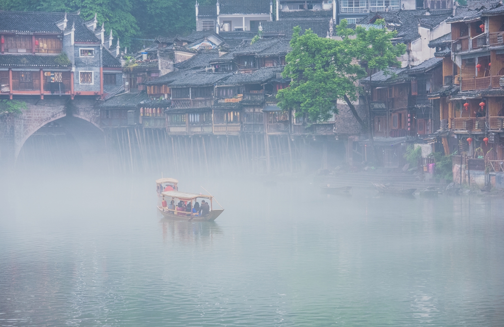 烟雨凤凰