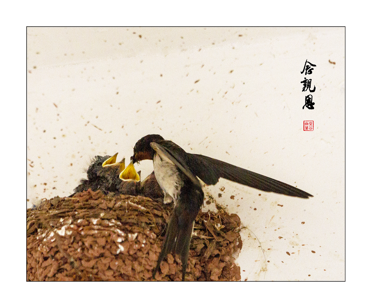 念亲恩